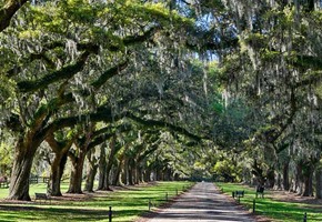 Charleston